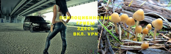 таблы Великий Новгород