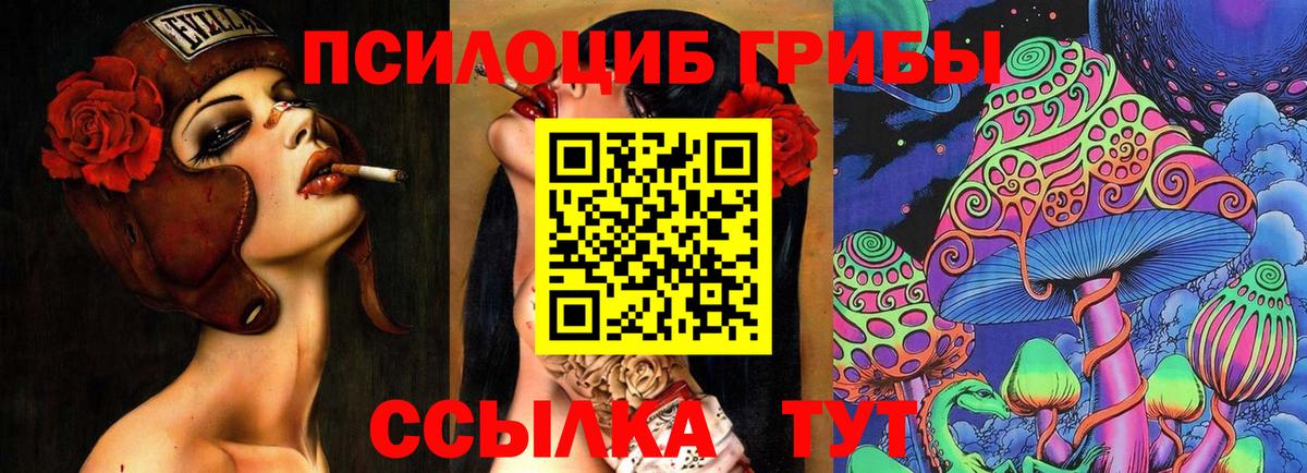 Псилоцибиновые грибы Psilocybine cubensis Вязьма