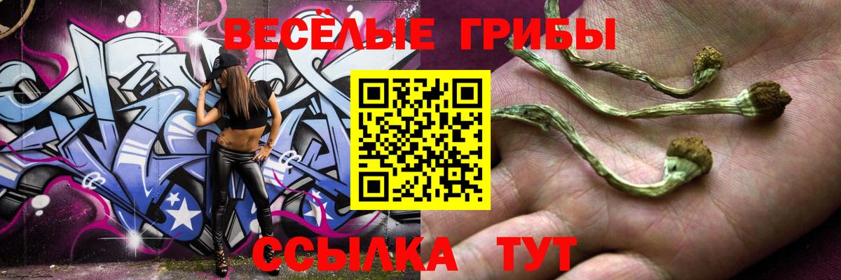 Псилоцибиновые грибы Magic Shrooms  Псилоцибиновые грибы ЛСД  Вязьма 