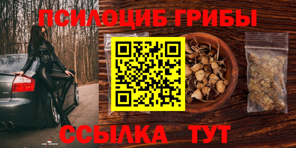 Вязьма  Галлюциногенные грибы MAGIC MUSHROOMS  Вход с VPN  Галлюциногенные грибы MAGIC MUSHROOMS 